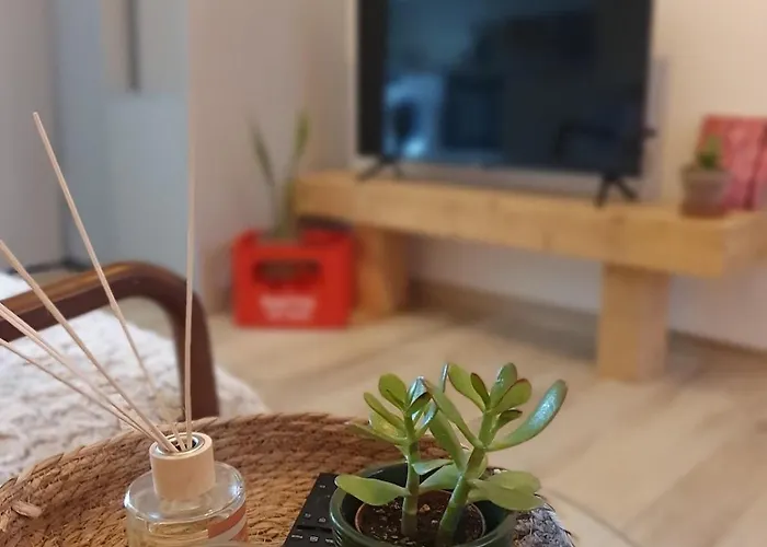 Apartmán Cosy Idealement Situe Parking Prive